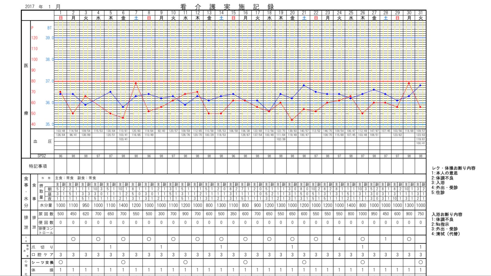 看介護実施記録